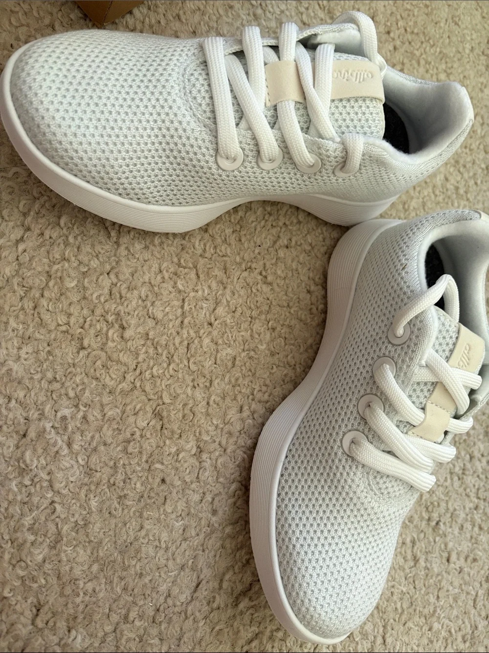 allbirds womens blizzard Knit Sneakers